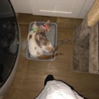 IMG_6723.jpeg