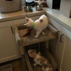 IMG_6730.jpeg
