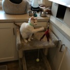 IMG_6732.jpeg