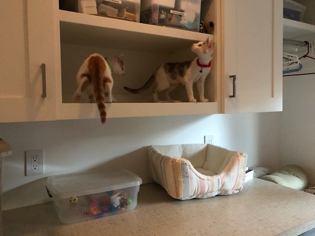 Now they're both up there