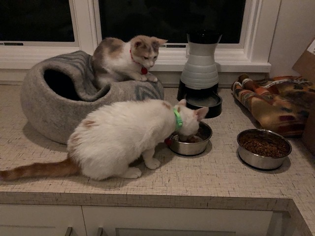 Watching him eat