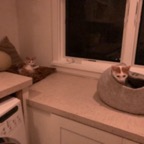 IMG_6747.jpeg