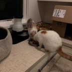 IMG_6755.jpeg