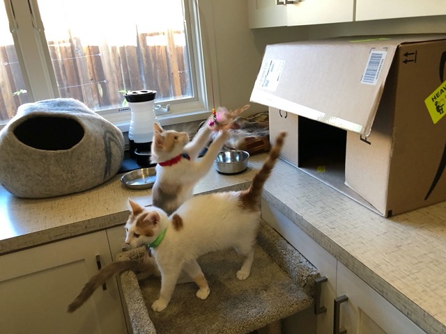 Jump and grab!  Another breakthrough!