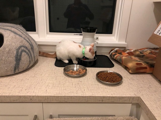 And I saw the male drinking!