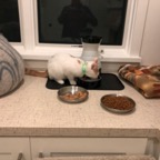 IMG_6783.jpeg