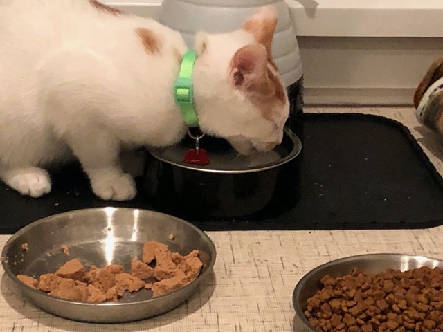 Big relief.  Now I know he's getting water.