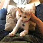 IMG_6787.jpeg