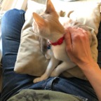 IMG_6788.jpeg