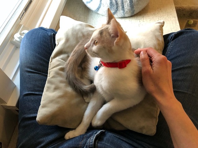 She trusts me a lot more now