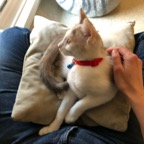 IMG_6789.jpeg