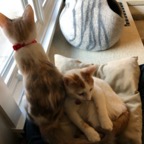 IMG_6793.jpeg