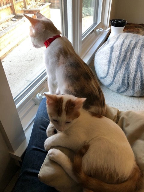 Female watching while male relaxes
