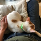 IMG_6800.jpeg