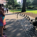 IMG_1206.jpeg