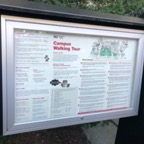 IMG_1216.jpeg