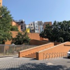 IMG_1225.jpeg
