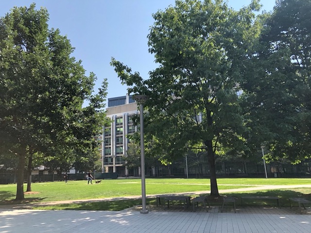A green quad