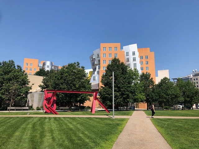 View back across the quad