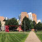 IMG_1230.jpeg