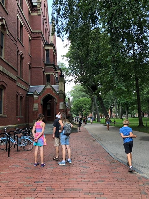 On the Harvard campus