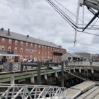 IMG_1299.jpeg