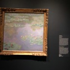 IMG_1345.jpeg