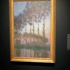 IMG_1355.jpeg