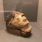 IMG_1404.jpeg
