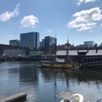 IMG_1425.jpeg