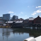 IMG_1427.jpeg