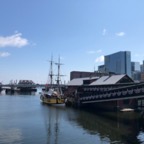 IMG_1429.jpeg