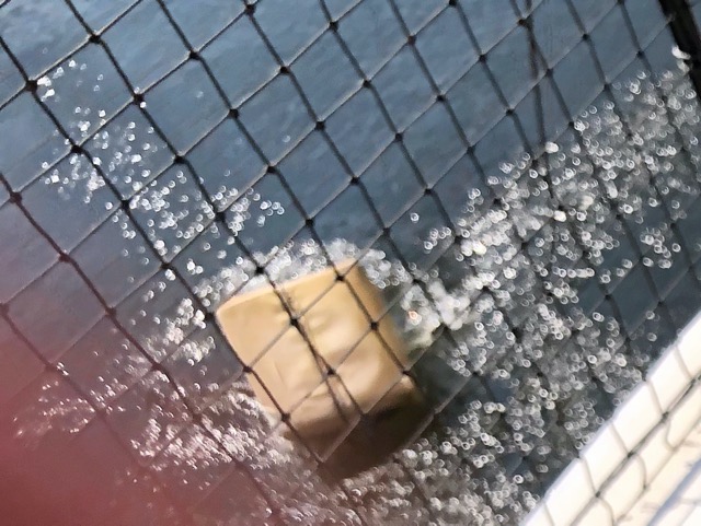 Splash!  I think they will remember this