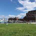 IMG_1461.jpeg