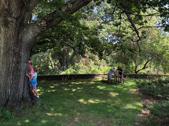 We ate our lunch on the grounds of the Old North Bridge museum, a beautiful spot