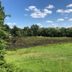 IMG_1522.jpeg
