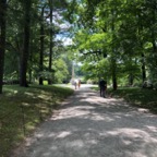 IMG_1536.jpeg