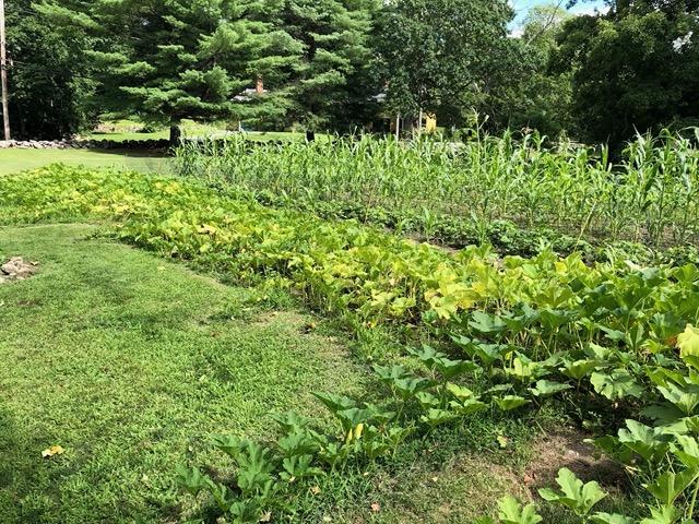 Garden at the Old Manse, which overlooks the bridge