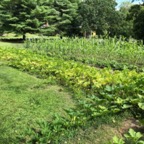 IMG_1538.jpeg