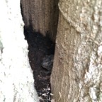 IMG_1563.jpeg