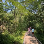 IMG_1577.jpeg