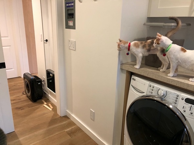 Opening the door to the laundry room!