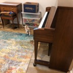 IMG_6818.jpeg