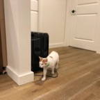 IMG_6821.jpeg