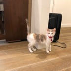 IMG_6832.jpeg