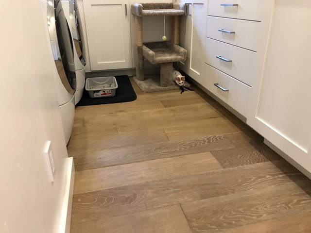 But not THAT confident.  They still dark back to the laundry room if startled