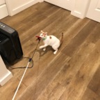 IMG_6847.jpeg