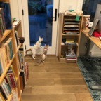 IMG_6864.jpeg