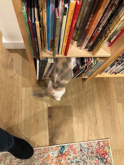 And the space above the books.