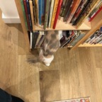 IMG_6866.jpeg